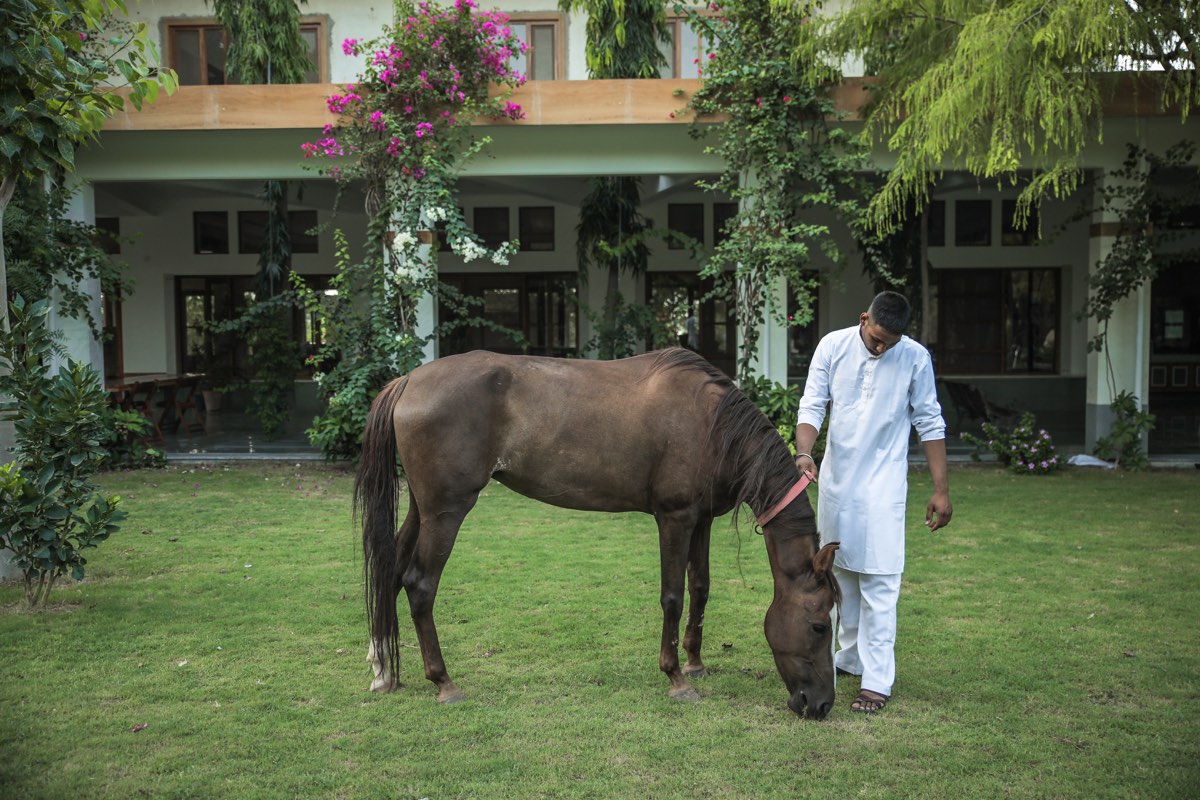 Udai with horse on lawn