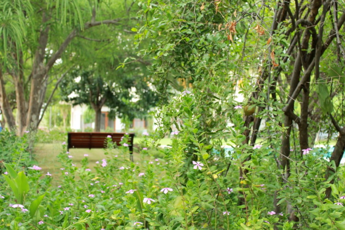 Soothing garden view on the farm