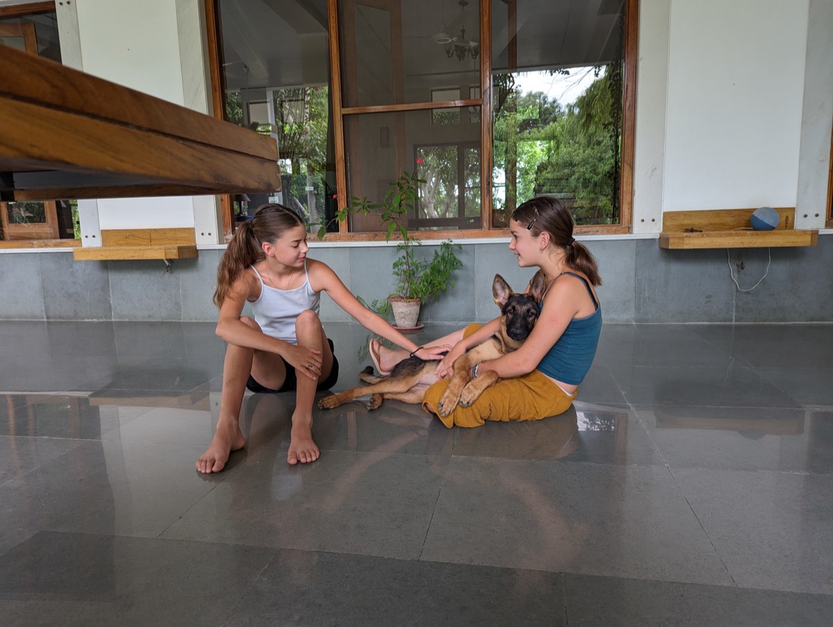 Two guests with a GSD puppy on the veranda — PushkarOrganic