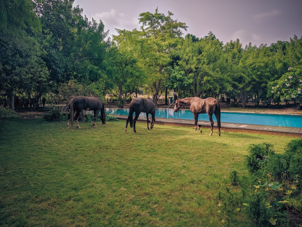 The farm with the pool